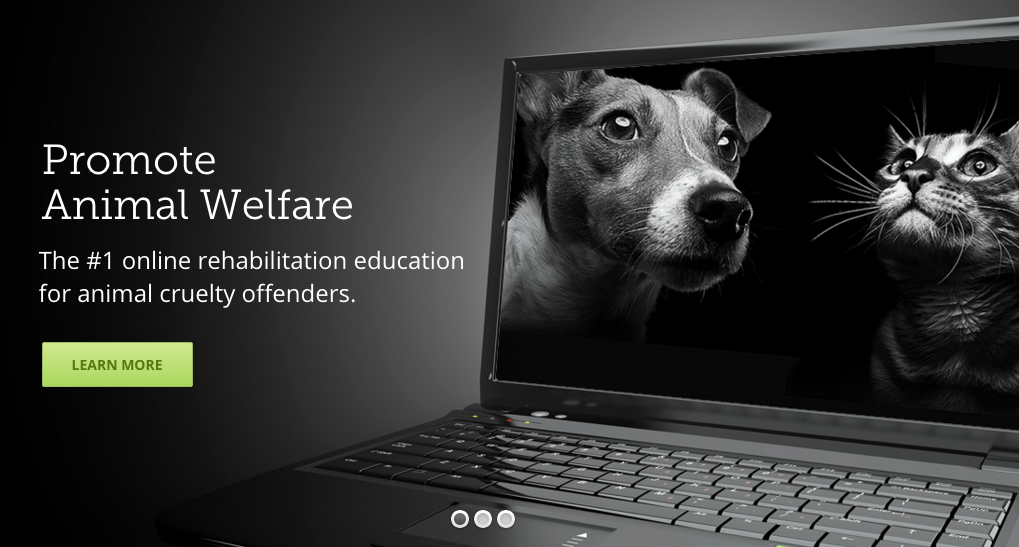 Promote Animal Welfare Online Course